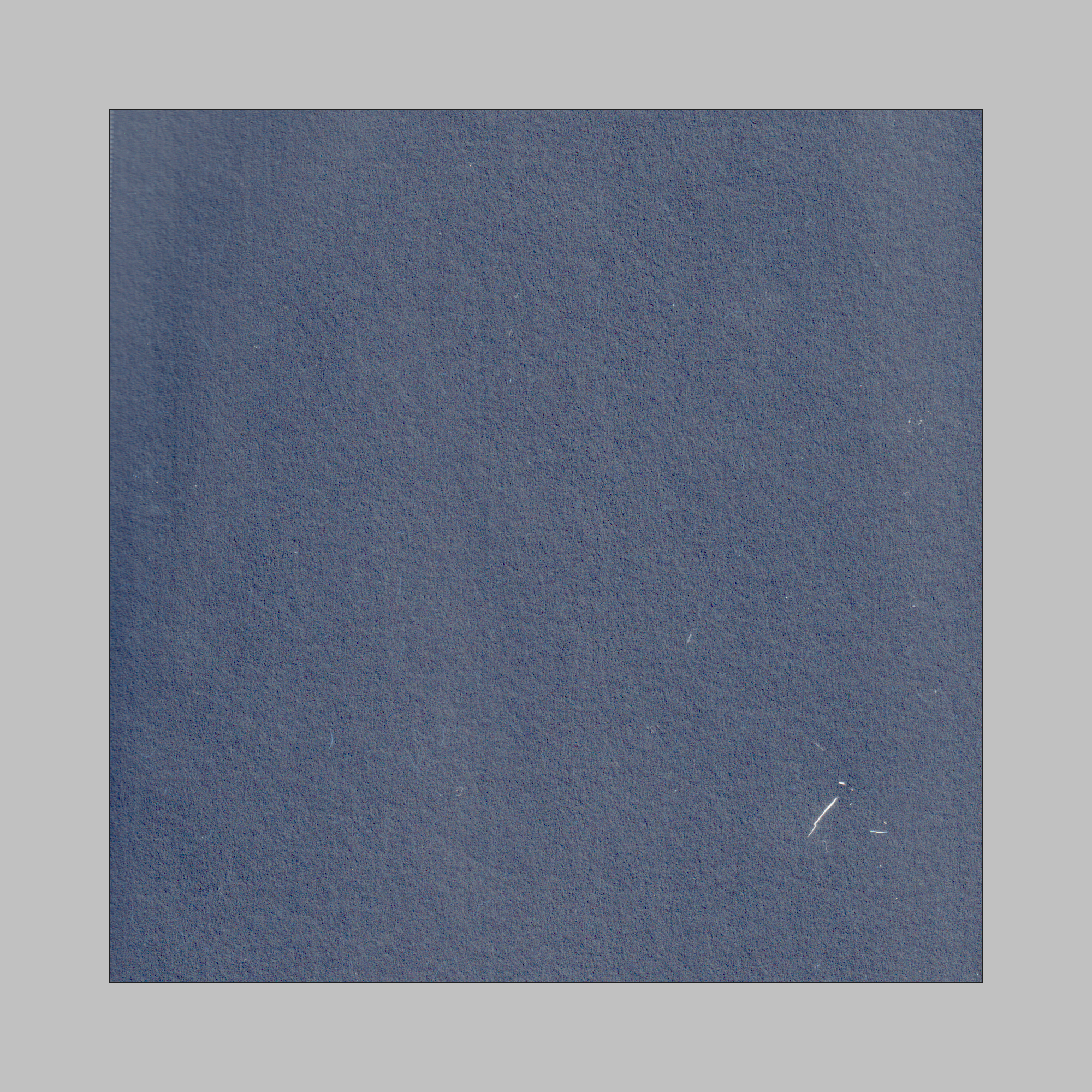 por las hojas caídas